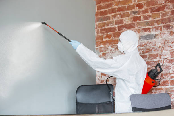 Best Environmental Consulting for Mold Prevention  in Sanford, CO