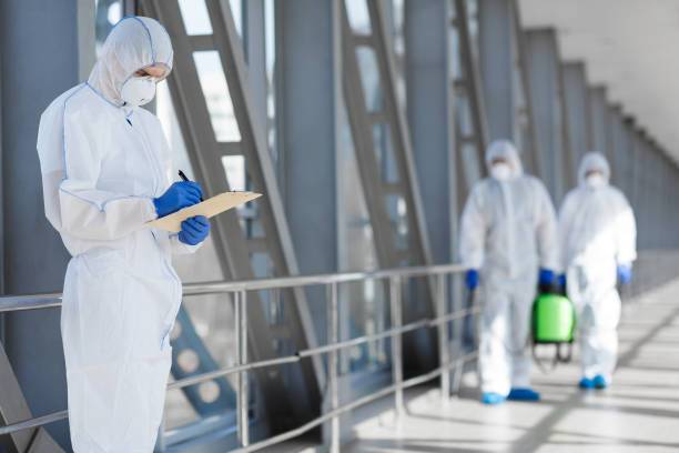  Sanford, CO Mold Removal Pros