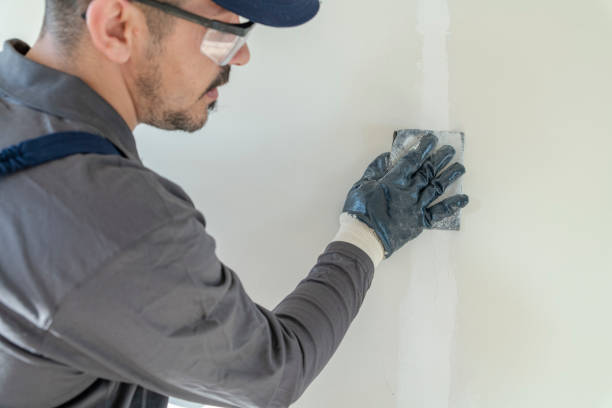 Best Comprehensive Air Testing for Mold Contaminants  in Sanford, CO