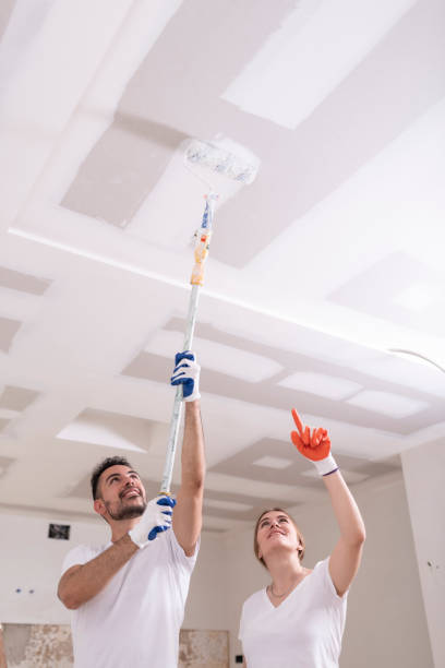 Best Air Quality Testing for Mold Spores  in Sanford, CO