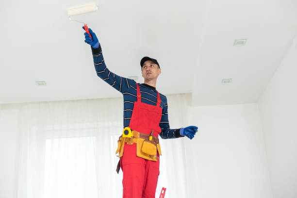 Best Mold Removal for HVAC Installations  in Sanford, CO