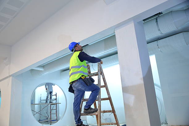 Best Residential Mold Inspection & Testing  in Sanford, CO